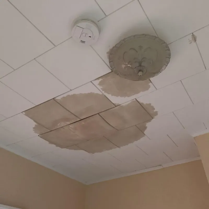 Ceiling Water Damage Repair in Franklin, TN