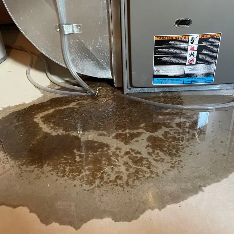Pipe Burst and Leak Restoration in Franklin, TN