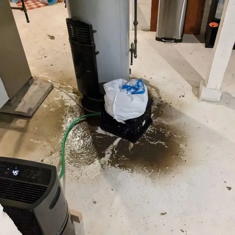 Sewage Backup Cleanup Service in Franklin, TN